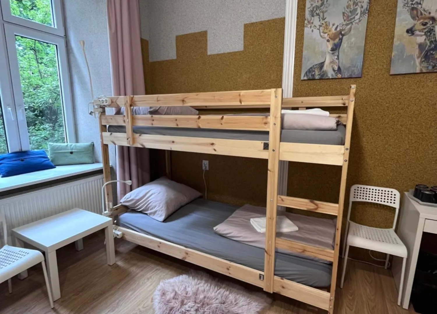 קרקוב Girls Hostel פולין